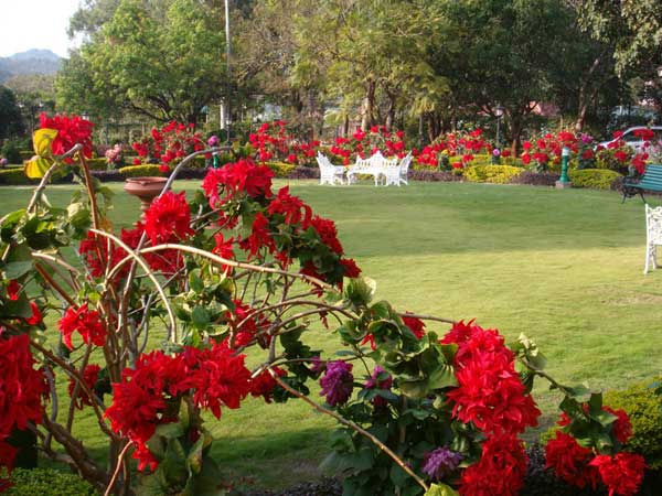 Golf View Pachmarhi