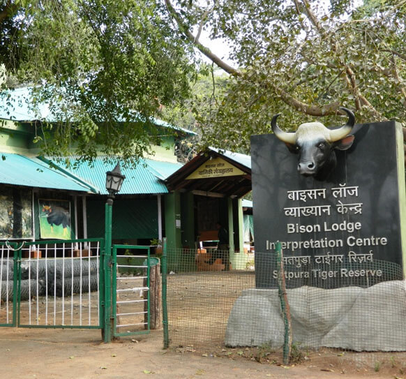 Bison Lodge Pachmarhi